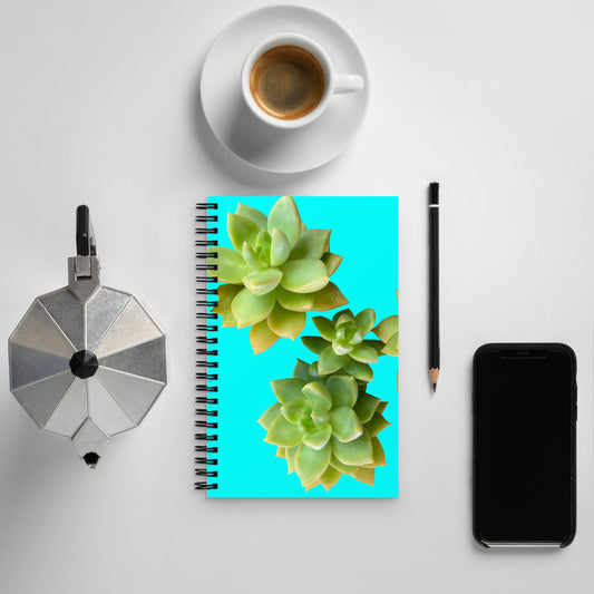 Spiral notebook